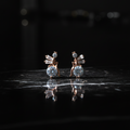 Rose Gold Radiance Drop Earrings - VITTAM
